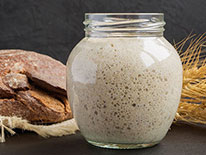 Ce este maiaua? Ce este maiaua?